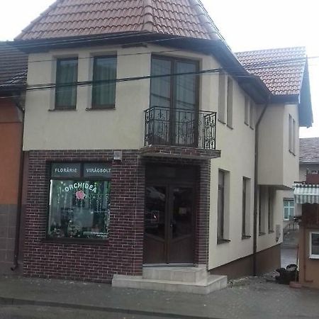 Casa Claudia Hotel Sangeorgiu de Padure ภายนอก รูปภาพ