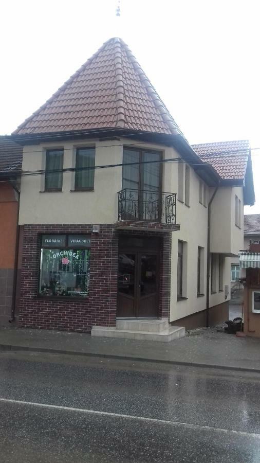Casa Claudia Hotel Sangeorgiu de Padure ภายนอก รูปภาพ